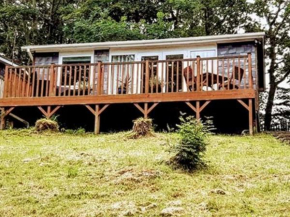 Crib Goch Cozy Dog-friendly Cabin Retreat